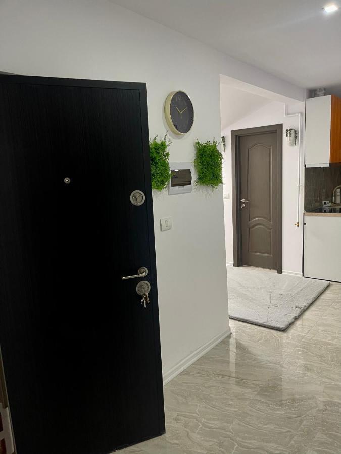 Cozy Apartament With 2Rooms Timisoara Exterior photo